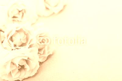 Beautiful vintage rose flowers on gray stone table. Floral border. Pastel color.