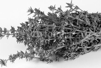 thym 26012017