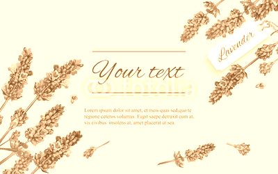 Lavender natural cosmetics banner