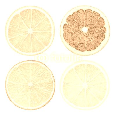 Slices of citrus fruits isolated on white