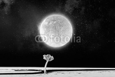 Is there life on moon . Mixed media