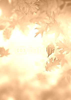 Autumn Falling Leaves