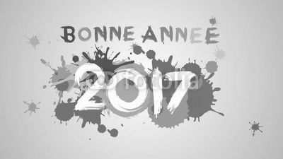 Voeux 2017