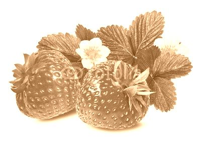 Strawberry on white