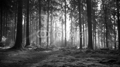 Herbst im Odenwald