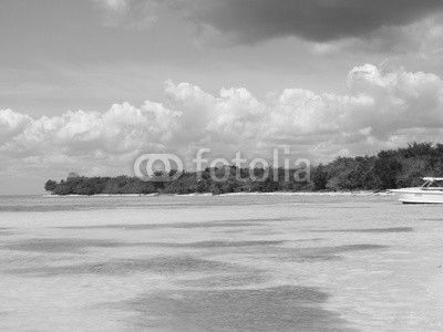 ile