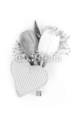 Tulpen