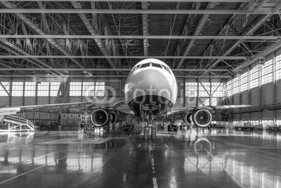 Passenger aircraft in the hangar