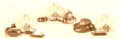 Horizontal panorama with pink orchids and zen stones on a wooden