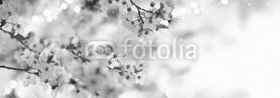 Spring border or background art with pink blossom. Beautiful nature scene with blooming tree and sun flare