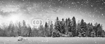 Beautiful tree in winter landscape in late evening in snowfall