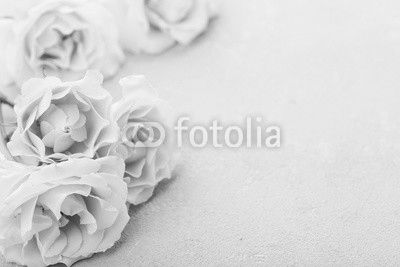 Beautiful vintage rose flowers on gray stone table. Floral border. Pastel color.