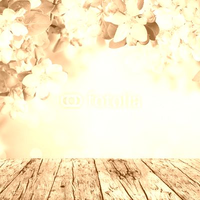 Spring background with free space for text