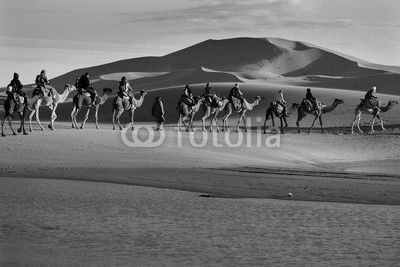 Caravan of tourists passing desert lake on camels