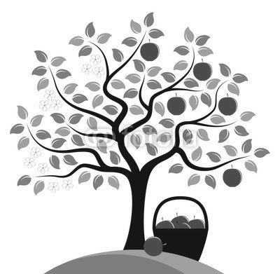 apple tree in two seasons
