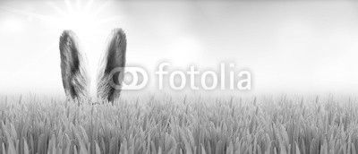 Osterhase im Gras