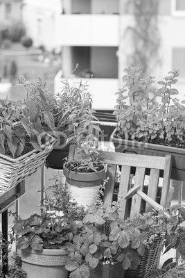 Balkongarten Urban gardening