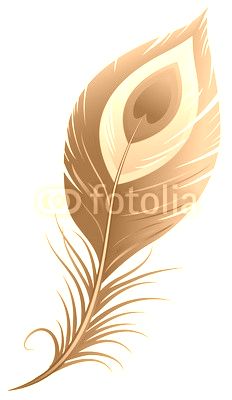 Peacock feather
