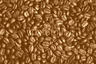 Arabica coffee beans texture
