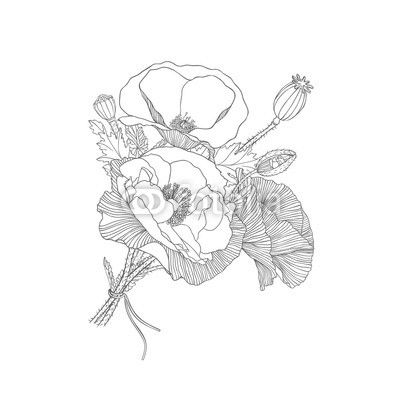 Poppy flowers vector bouquet