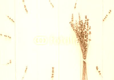 lavender frames design with flowers on white background top view mock up