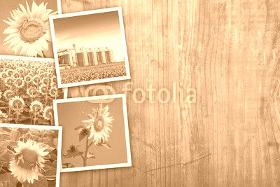 Sunflowers farming and agriculture photo collage