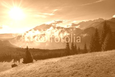 View of Tatra mountain form Rusinowa glade.