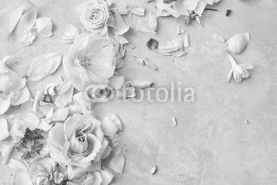Composition of flowers on grey background