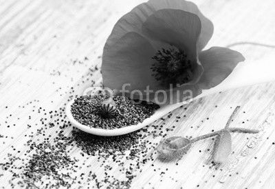 Mohn