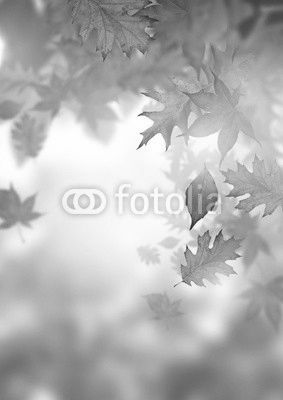 Autumn Falling Leaves