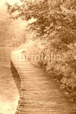 Wooden Bridge