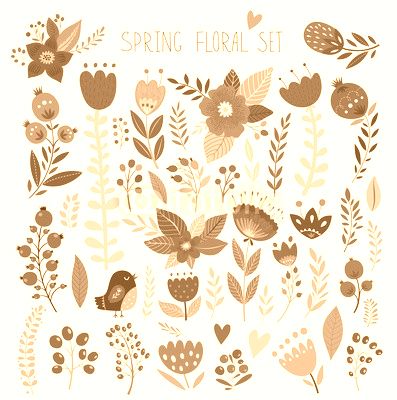Beautiful vector collection with flowers and leaves. Spring art print with botanical elements 
