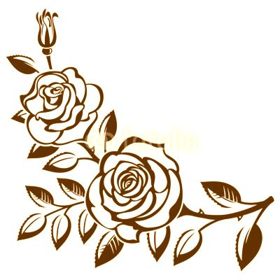 Branch of roses