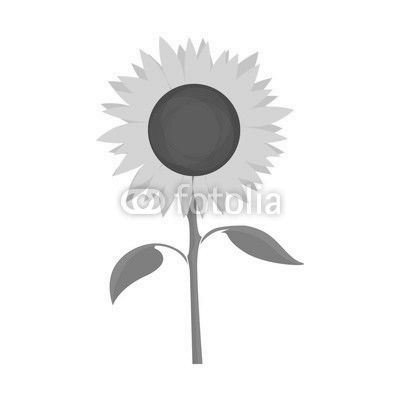 Sunflower Vector Symbol