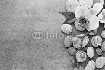 Spa orchid theme objects on grey background.
