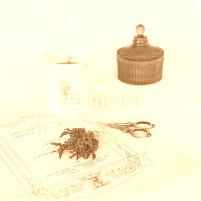  Lavender with tea and music 1