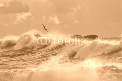 Sea storm with big breaking waves