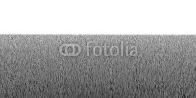 3d grass