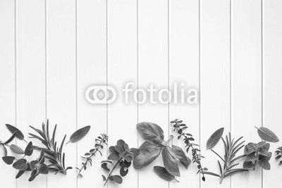 Fresh Herbs Border
