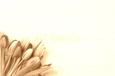 Tulpen auf weißem Holz