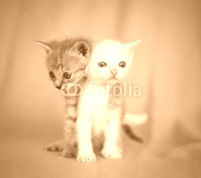 sweet hug