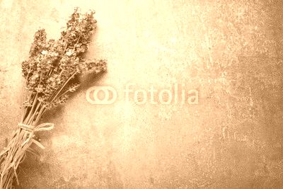 lavender on stone