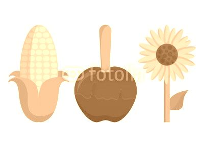 festa junina related icons over white background. colorful design. vector illustration