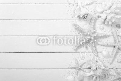 seashell and starfish on the wooden board