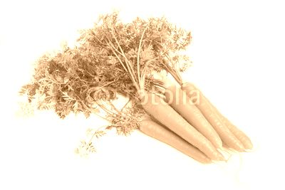 Fresh carrots isolated on white background