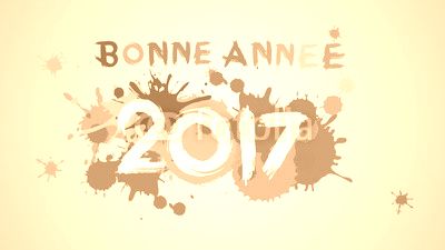Voeux 2017