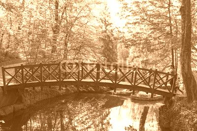 Old wooden bridge in the park