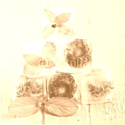 Eiswürfel mit Himbeeren