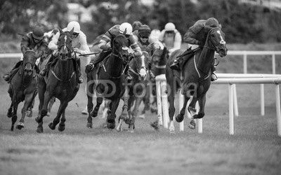 intense horse race action