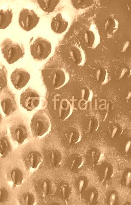 macro strawberry